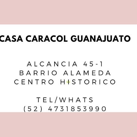 Aparthotel Casa Caracol Guanajuato Exteriér fotografie